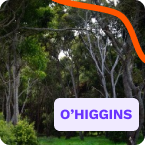 Región de O'higgins